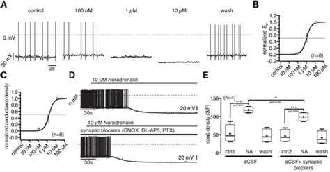 Figures And Data In Antagonistic Modulation Of Npy Agrp And Pomc