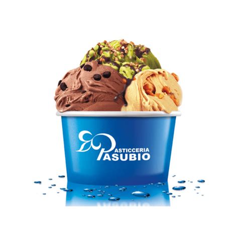 Il Gelato Artigianale 1Kg Pasticceria Pasubio