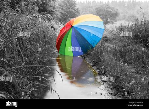 Big Colored Umbrella Reflects In A Puddle Landscape In Monochrome