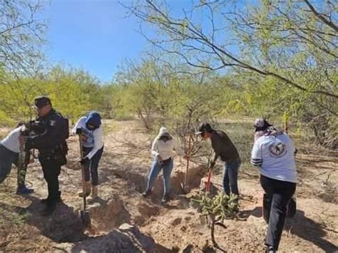 Diario del Yaqui Guerreras Buscadoras descubren panteón clandestino