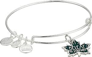 Amazon Alex And Ani Women S Color Infusion Be Leaf In Yourself EWB