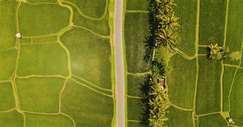 Riding the border bus provides a surprising view of the countryside 3