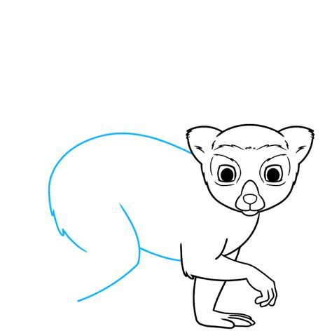 How To Draw A Lemur Really Easy Drawing Tutorial