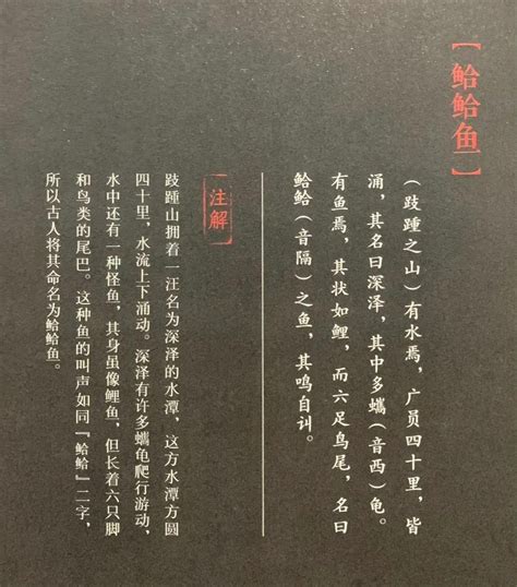 国学《山海经》东山三经——鮯鮯鱼，什么鱼能有六只脚和鸟尾巴 哔哩哔哩