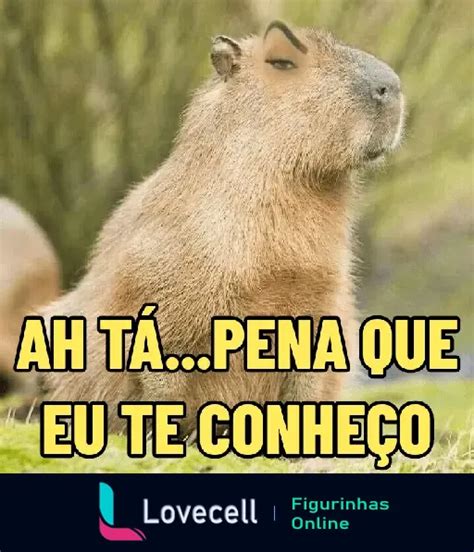 Figurinha Ah T Pena Que Eu Te Conhe O Capivaras Para Whatsapp