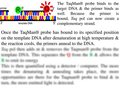 Solution Realtime Polymerase Chain Reaction Presentation For