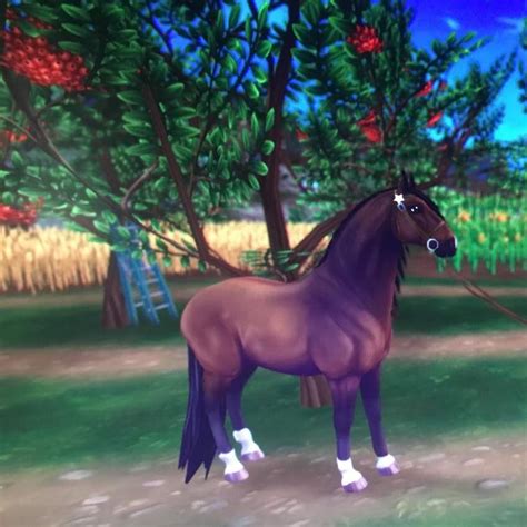 Flame Wiki Star Stable Online Amino