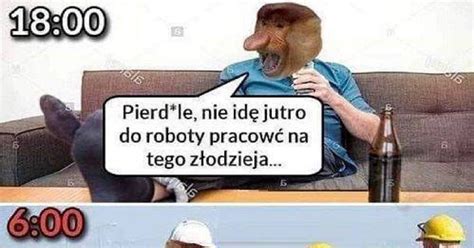 Za każdym razem to samo