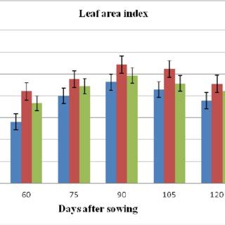 Effect Of Mulches Strategies And Irrigation Intervals On Leaf Area