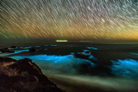 Amazing Photos Of Bioluminescent Phytoplankton Glowing Blue In The Sea