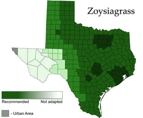 Zoysiagrass Aggieturf