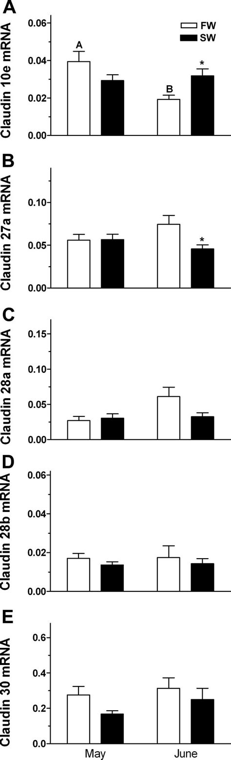 Expression Of Claudin 10e A Claudin 27a B Claudin 28a C