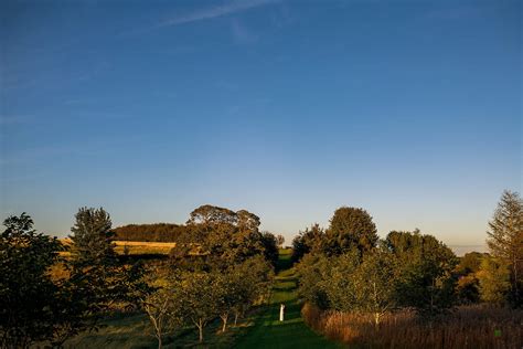 Calcot Manor & Spa Wedding| Dan Morris Photography