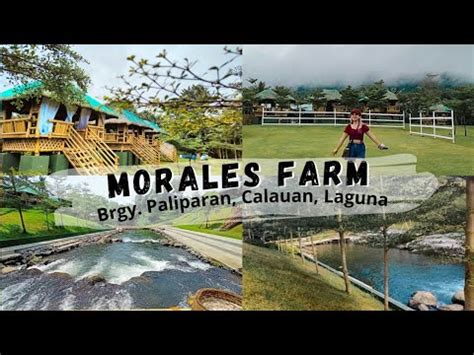 Morales Nature Farm Vlog Brgy Paliparan Calauan Laguna Youtube