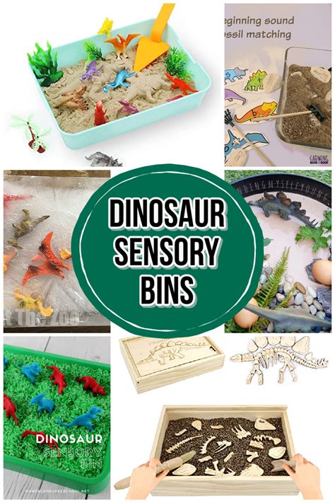 Dig For Fossils Sensory Bin Sensory Bins Dinosaur Fossils