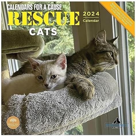 Bad Cat Calendar 2024 Rescue Dusty Glynnis