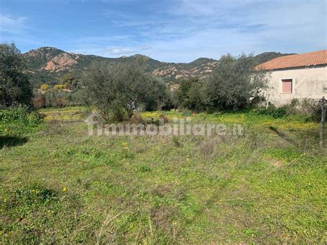 Terreno Edificabile Viale Santu Micali Loiri Porto San Paolo Rif