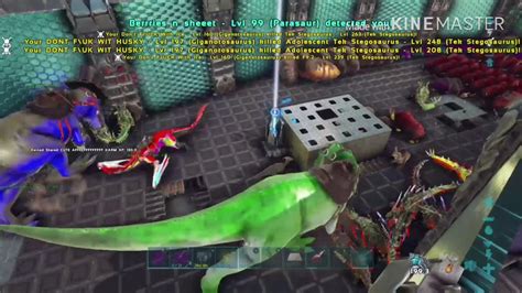 Ark Small Tribes Pvp Meat Running Tulips YouTube