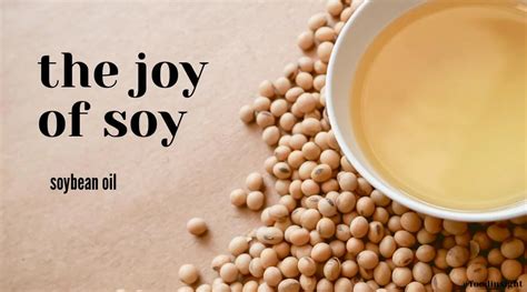 Soy Series, Part 3: Soybean Oil – Food Insight