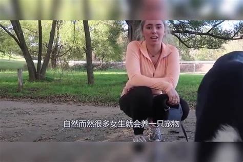 美女与狗同吃同睡，结果半年后肚子疼痛，去医院检查后她懵了肚子结果美女