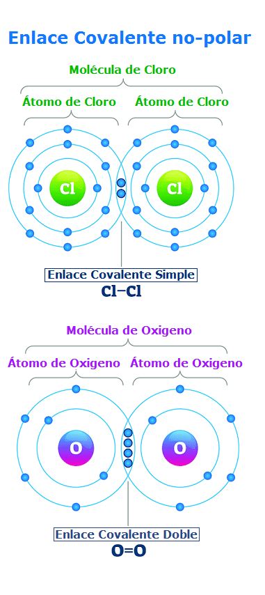 Diferencia Entre Enlace Covalente Polar Y No Polar 【entérate】