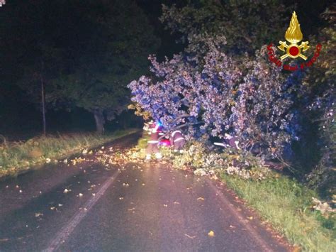 Pompiere Colpito Dal Ramo Di Un Albero Che Incombeva Sulla Statale 78