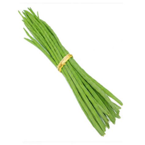 Floury Texture Healthy Natural Rich Taste Organic Green Fresh Drumstick