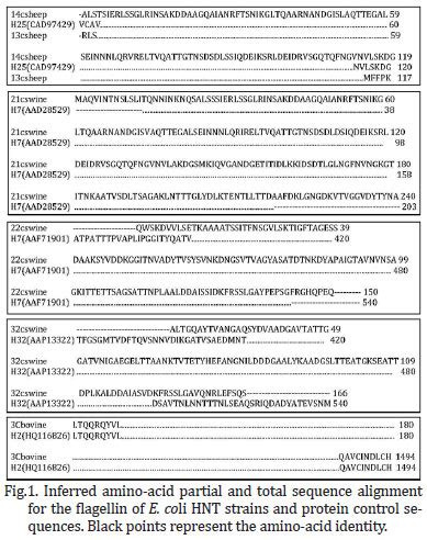 Scielo Brasil Identification Of New Flagellin Encoding Flic Genes