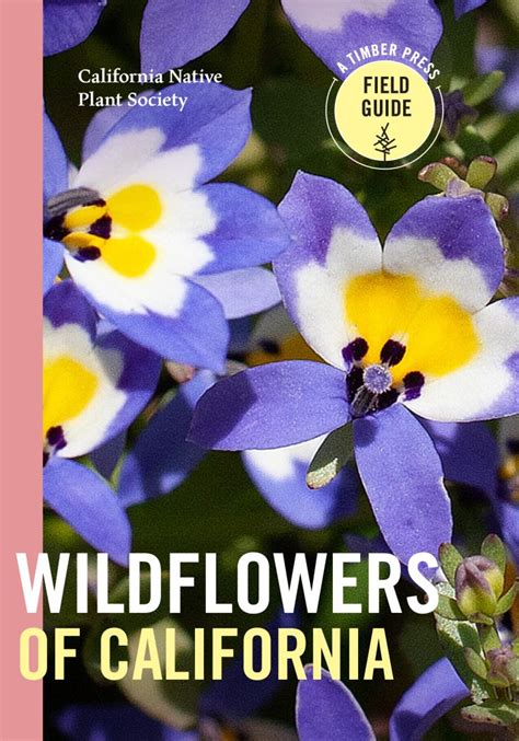 California Wildflowers - California Native Plant Society