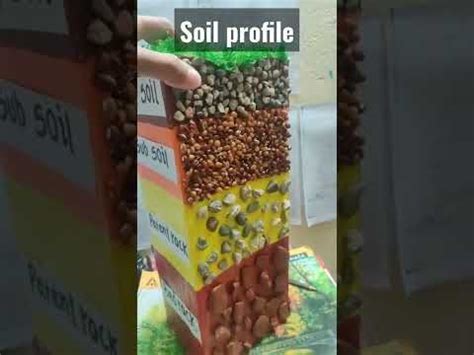 #Model #soil profile #geography geography - YouTube | Soil layers ...