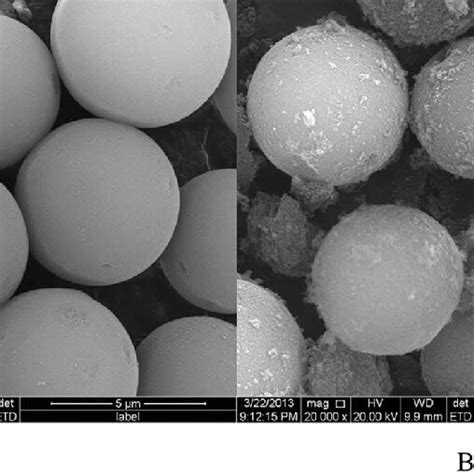 Scanning Electron Microscopy Sem Of The Surface Of Aminopropyl Silica