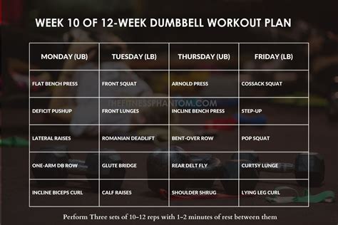 Ultimate 12 Week Dumbbell Workout Plan With Free PDF