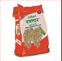 Raftaar Suruchi Paddy Hybrid At Best Price In Jalna By Maharashtra