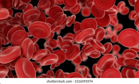 Polycythemia Vera Rare Slow Growing Blood Cancer Stock Illustration