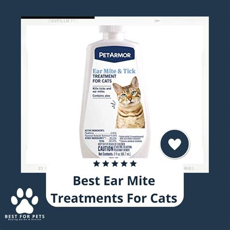 9 Best Ear Mite Treatments For Cats in 2023