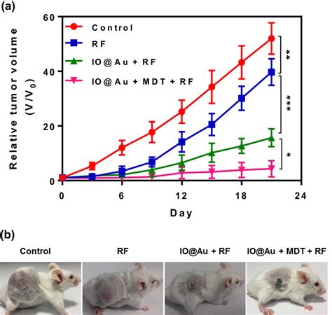 In Vivo Antitumor Assessment A The Tumor Volume Change Profiles As A