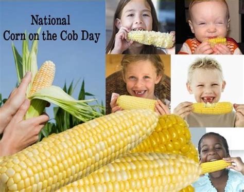 Happy Monday And Happy National Corn 🌽 On The Cob Day 🌽 🌾pampered Chef