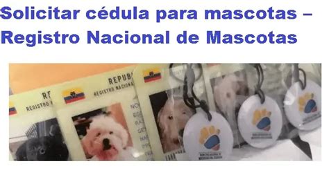 Solicitar C Dula Para Mascotas Registro Nacional De Mascotas