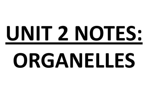 Unit 2 Notes Organelles Ppt Download