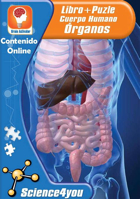 Calaméo Contenido online Libo Puzle Cuerpo Humano Órganos