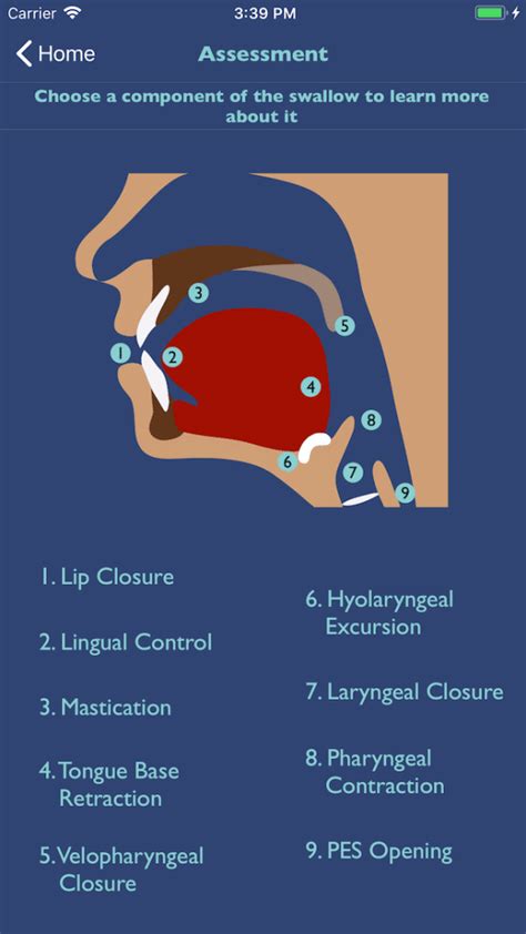 Dysphagia Therapy App For Swallowing Treatment On Ios And Android Slp