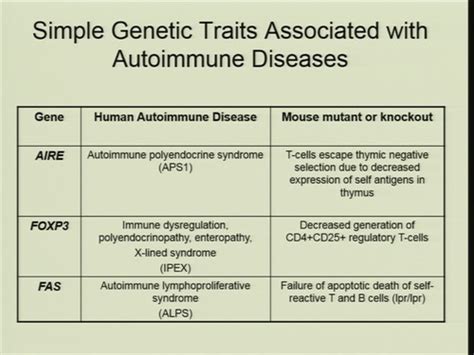 Autoimmunity Flashcards Quizlet