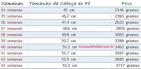 Tabela De Referência Tamanho E Peso Do Feto Na Gravidez Famivitapt