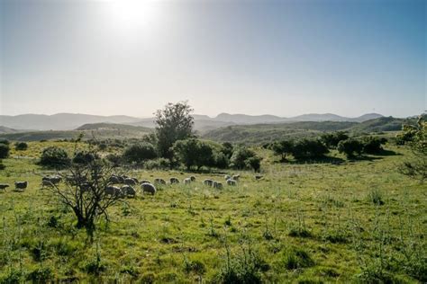 Pueblos Y Aldeas En Venta En Uruguay Pueblosbonitos