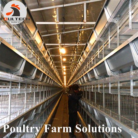 H Type Best Price Poultry Farm Egg Layer Chicken Cages System Equipment