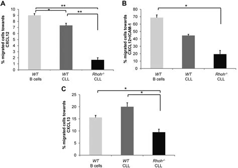 Significantly Impaired Cxcl12 And Cxcl13 Directed Migration Of E Tcl1 Download Scientific