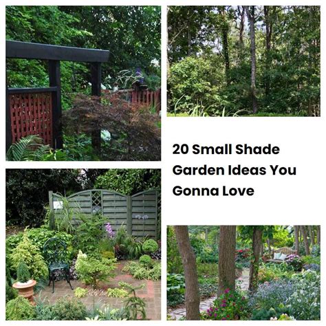 20 Small Shade Garden Ideas You Gonna Love | SharonSable