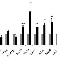 Real Time Quantitative RT PCR Validation Of The Microarray Data The