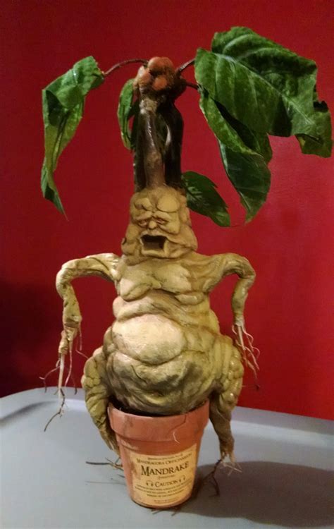 SOLD OUT Harry Potter Mandrake Replica Prop SUPER RARE