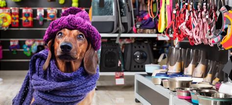 14 Dicas Para Turbinar As Vendas No Seu Pet Shop Blog Nuvem Vet